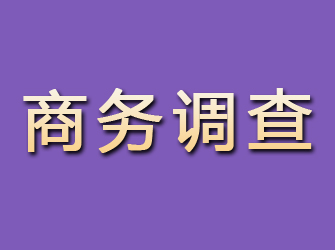 洛宁商务调查